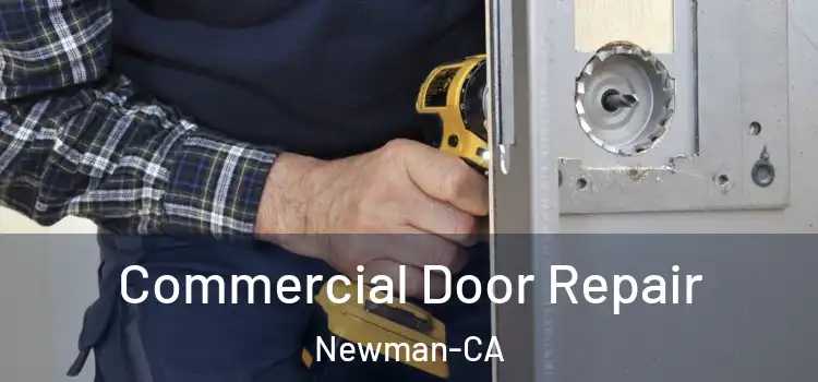  Commercial Door Repair Newman-CA