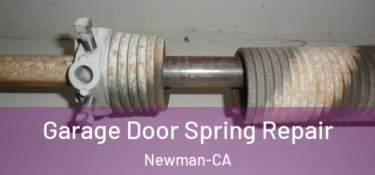  Garage Door Spring Repair Newman-CA