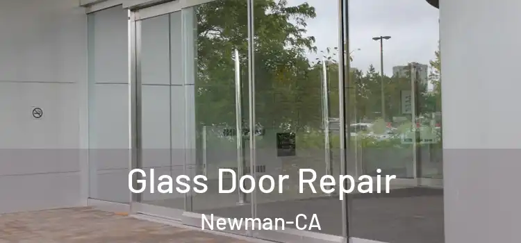  Glass Door Repair Newman-CA