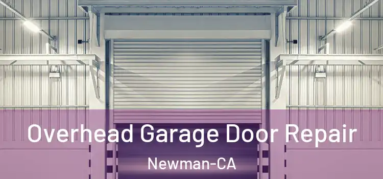  Overhead Garage Door Repair Newman-CA