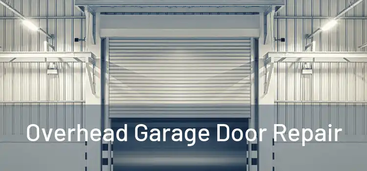  Overhead Garage Door Repair 