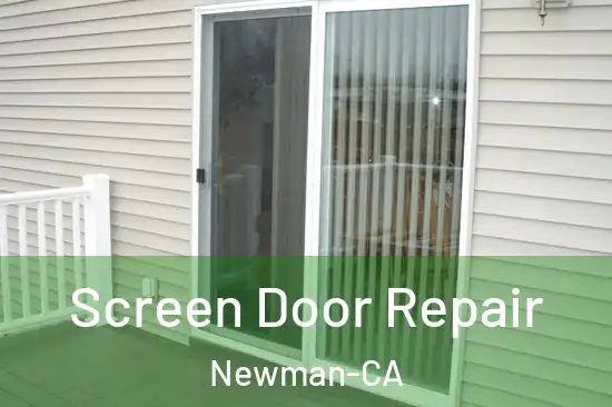 Screen Door Repair Newman-CA