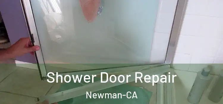 Shower Door Repair Newman-CA